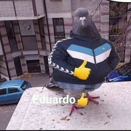 Eduardo 👍
